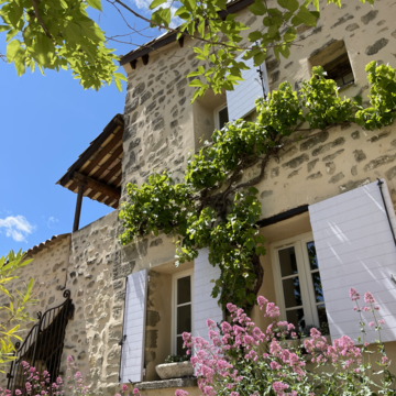 image d'article