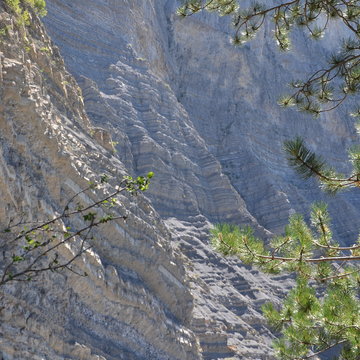image d'article