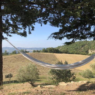 image d'article