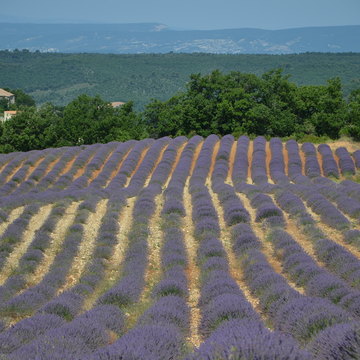 image d'article