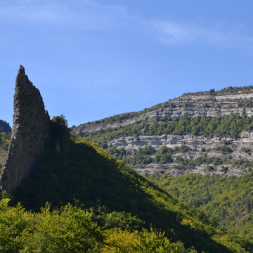 image d'article