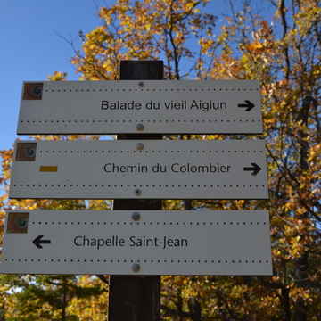 image d'article