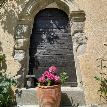 image d'article
